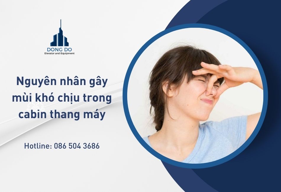 Nguyên nhân gây mùi khó chịu trong cabin thang máy